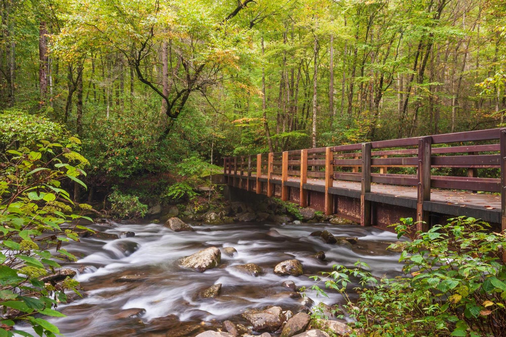 Glori'S Retreat, Game Room, 1089 Of Free Attraction Tickets For Each Paid Day, Dollywood And More Pigeon Forge Zewnętrze zdjęcie